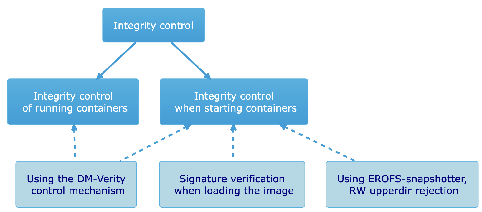 System container integrity control in DVP